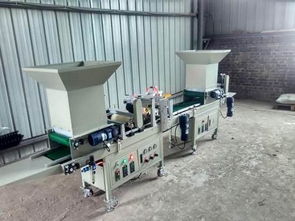 氣吸針頭式全自動(dòng)蔬菜花卉種子穴盤精量播種機(jī) 現(xiàn)代精準(zhǔn)農(nóng)業(yè)的高效利器